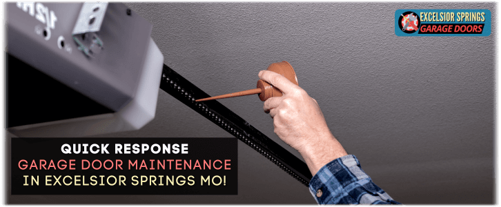 Garage Door Maintenance Excelsior Springs MO